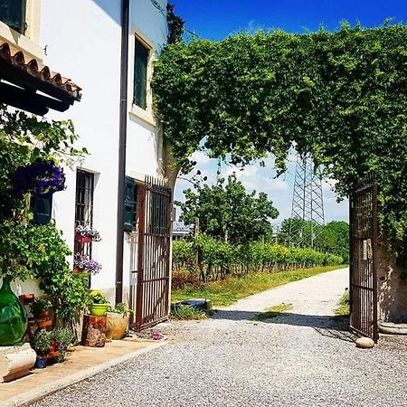 Corte Le Vigne Bed and Breakfast Verona Exteriör bild